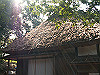 hirao14_thumb.jpg