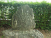 yosii211__thumb.jpg