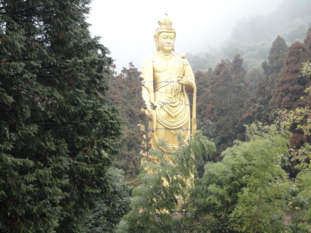 0039_yagimizu.jpg